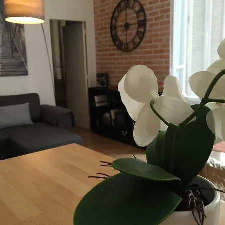 Appartement Mimosas Cannes