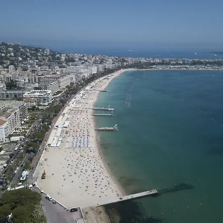 Mimosas * Cannes